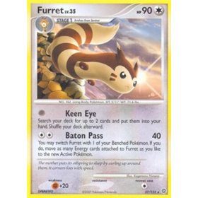 SW 027 - Furret Lv.35 SW 027 - Furret Lv.35