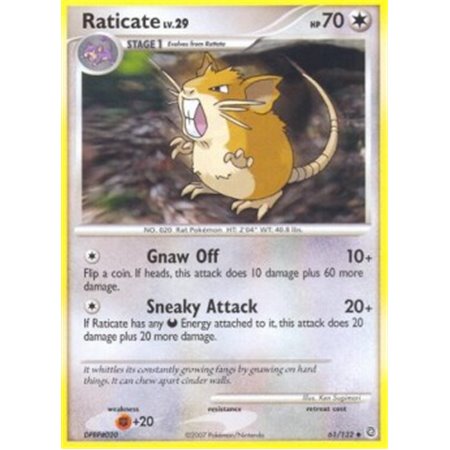 SW 061 - Raticate Lv.29