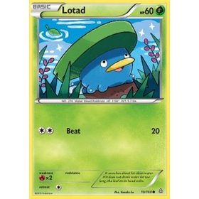 PRC 010 - Lotad Lotad