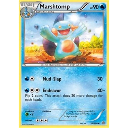 PRC 034 - Marshtomp - Reverse Holo