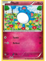 Marill  (h)