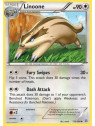 Linoone