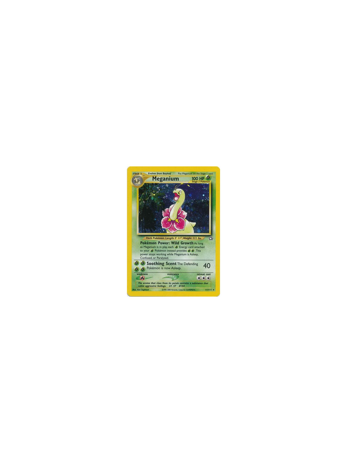 NG 011 - Meganium