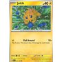 PAR 064 - Joltik