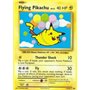 EVO 110 - Flying Pikachu