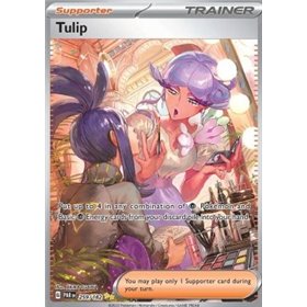 PAR 259 - Tulip PAR 259 - Tulip