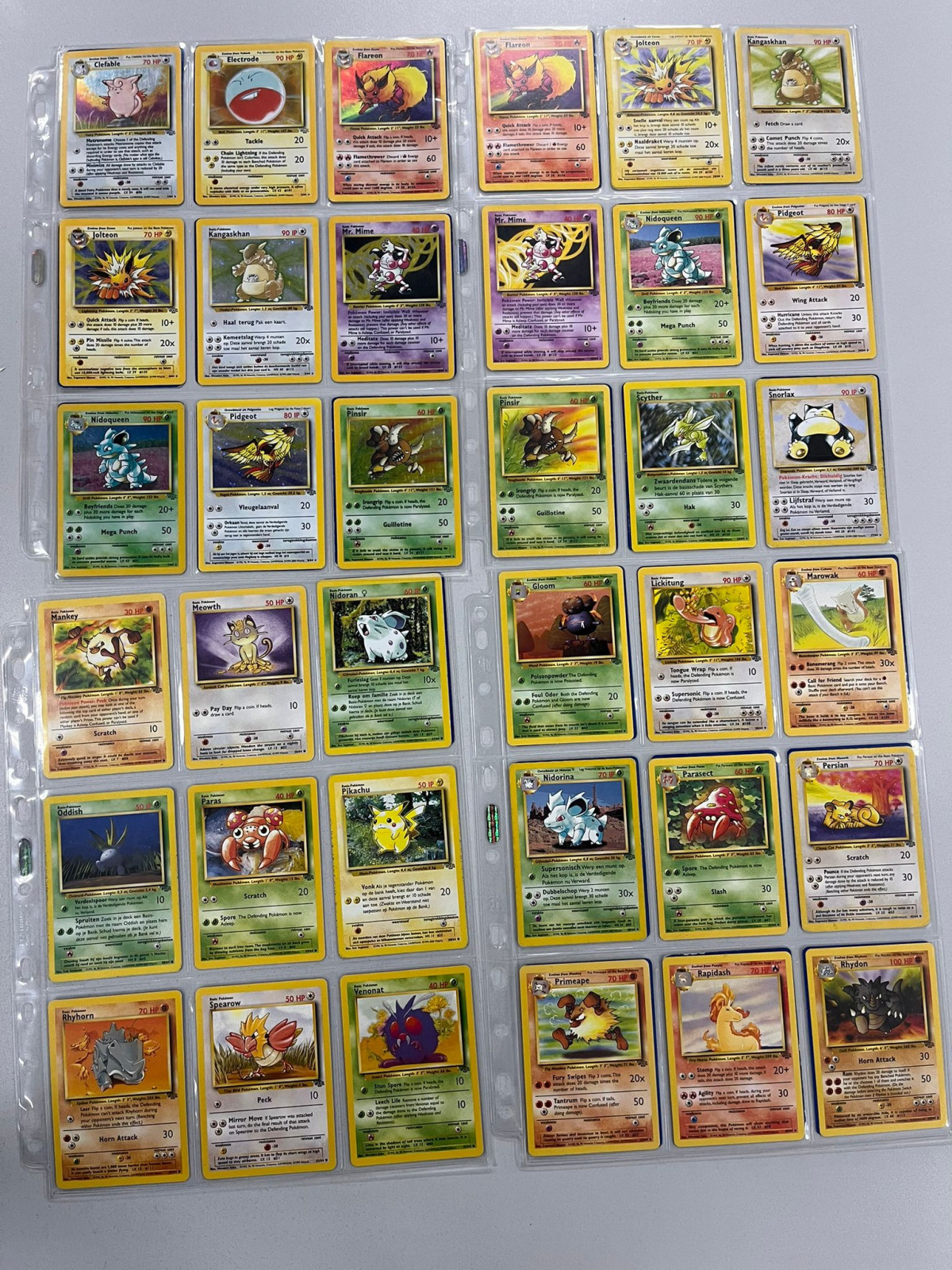 Pokémon Jungle Set Complete Set