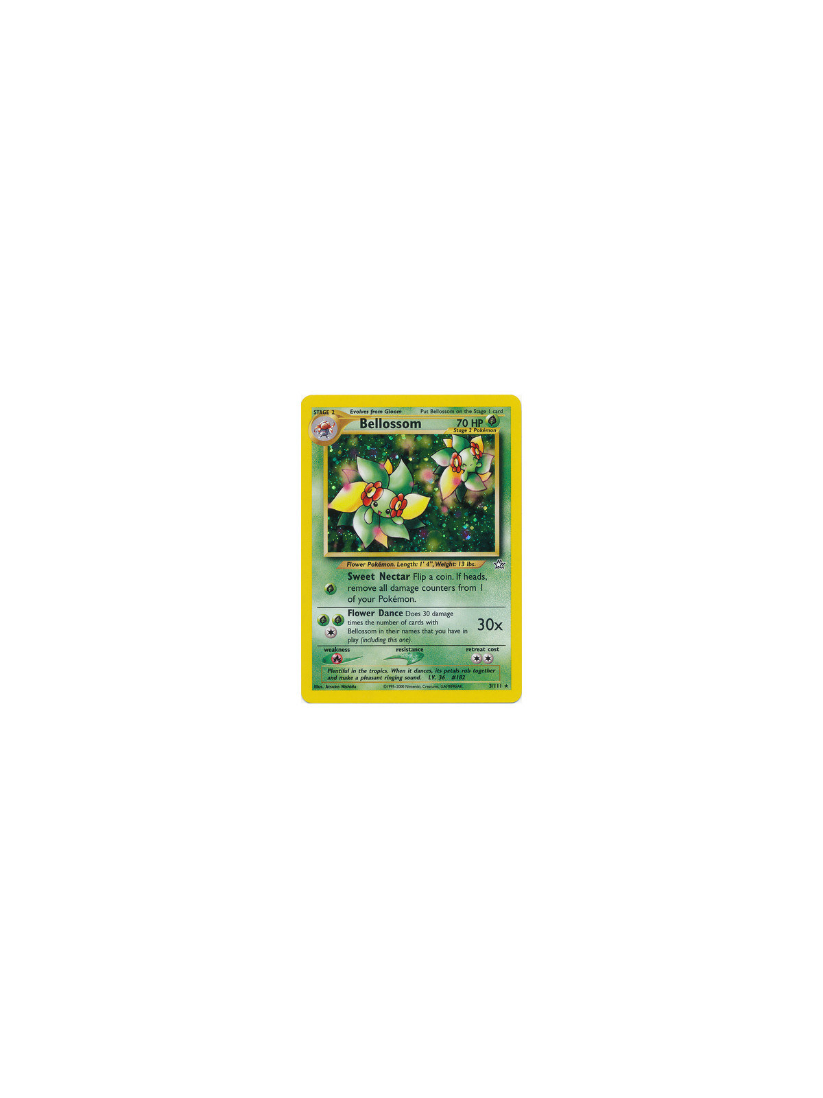 NG 003 - Bellossom