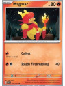 PAF 009 - Magmar