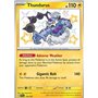 PAF 139 - Thundurus