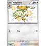 PAF 197 - Pidgeotto