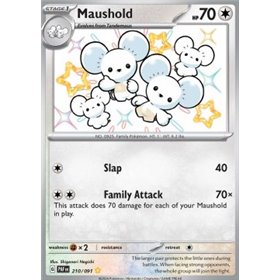 PAF 210 - Maushold PAF 210 - Maushold