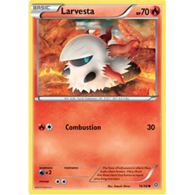 AOR 016 - Larvesta AOR 016