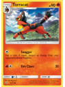 SLG 016 - Torracat