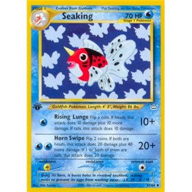 NR 037 - Seaking