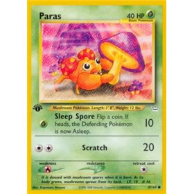 NR 047 - Paras