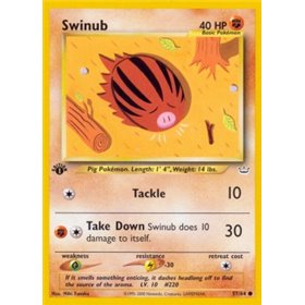 NR 057 - Swinub NR 057 - Swinub