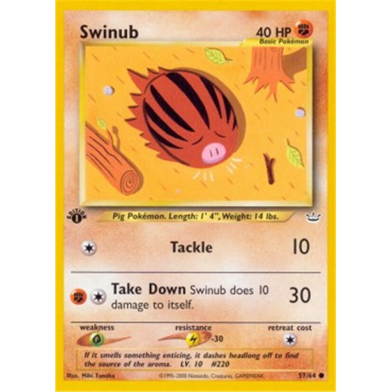 NR 057 - Swinub