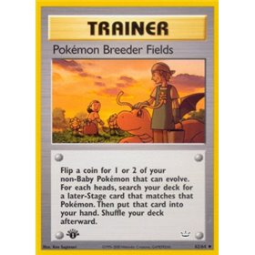 NR 062 - Pok�mon Breeder Fields NR 062 - Pok�mon Breeder Fields