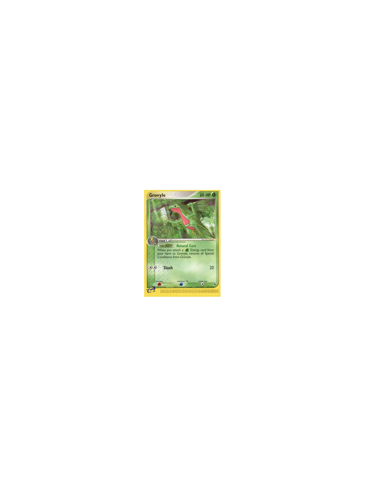RS 032 - Grovyle - Reverse Holo