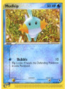 RS 059 - Mudkip
