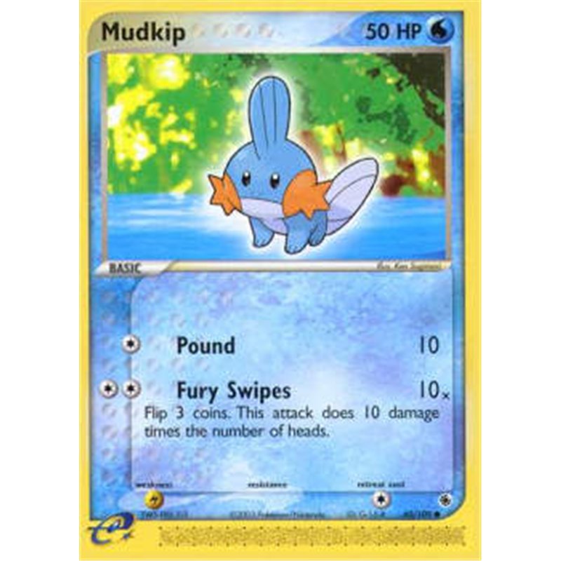 RS 060 - Mudkip