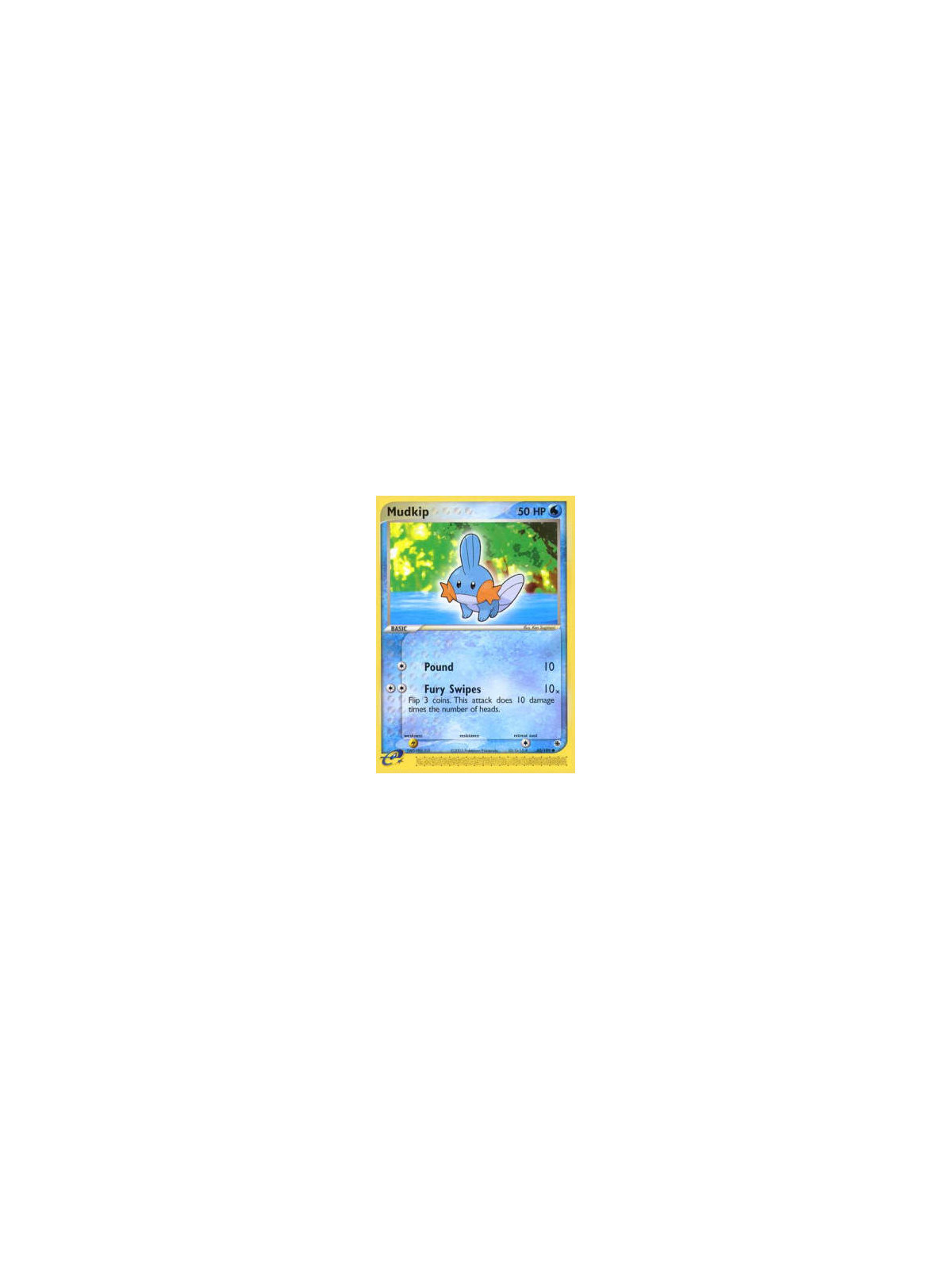 RS 060 - Mudkip