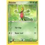 RS 076 - Treecko