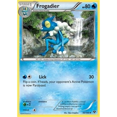 Frogadier (XY 040)