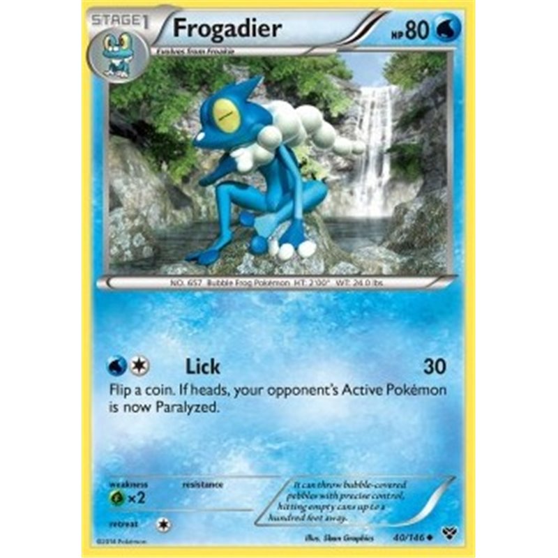 Frogadier (XY 40) - Reverse Holo