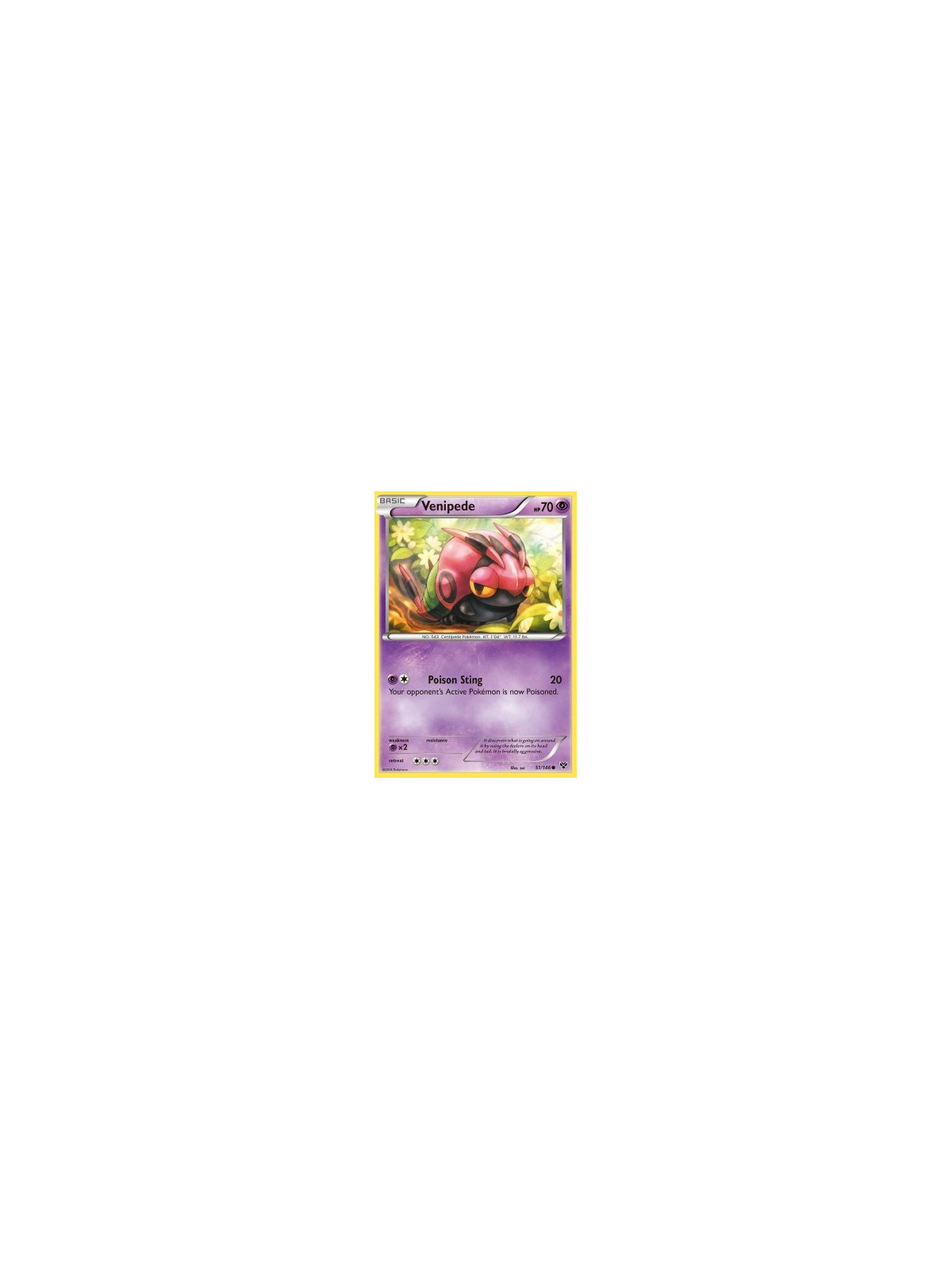 Venipede (XY 051)