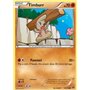 Timburr (XY 065)