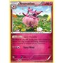 Aromatisse (XY 093)