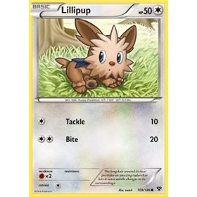 XY 108 - Lillipup Lillipup (XY 100)