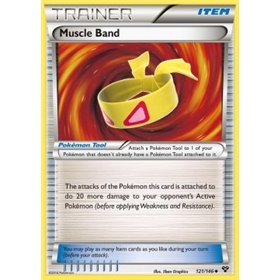 Muscle Band (XY 121) Muscle Band (XY 121)