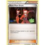 Team Flare Grunt (XY 129)