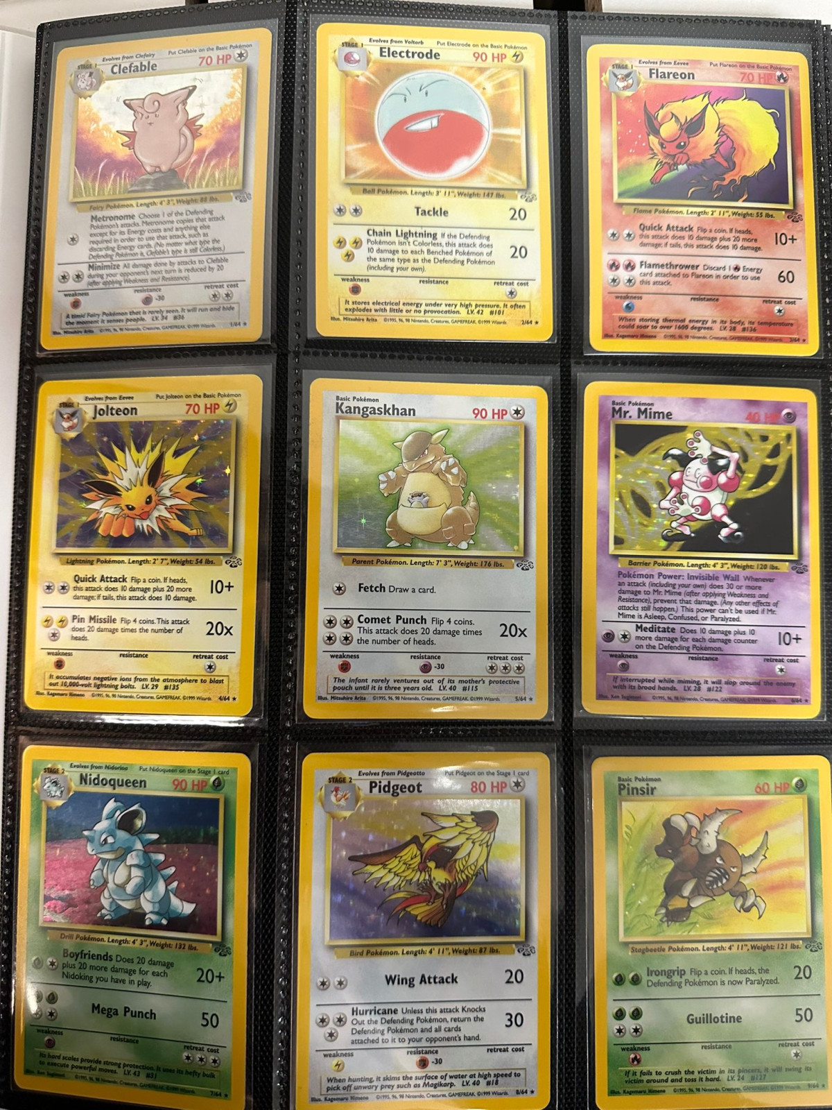Pokémon Jungle Set Complete