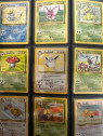 Pokémon Jungle Set Complete