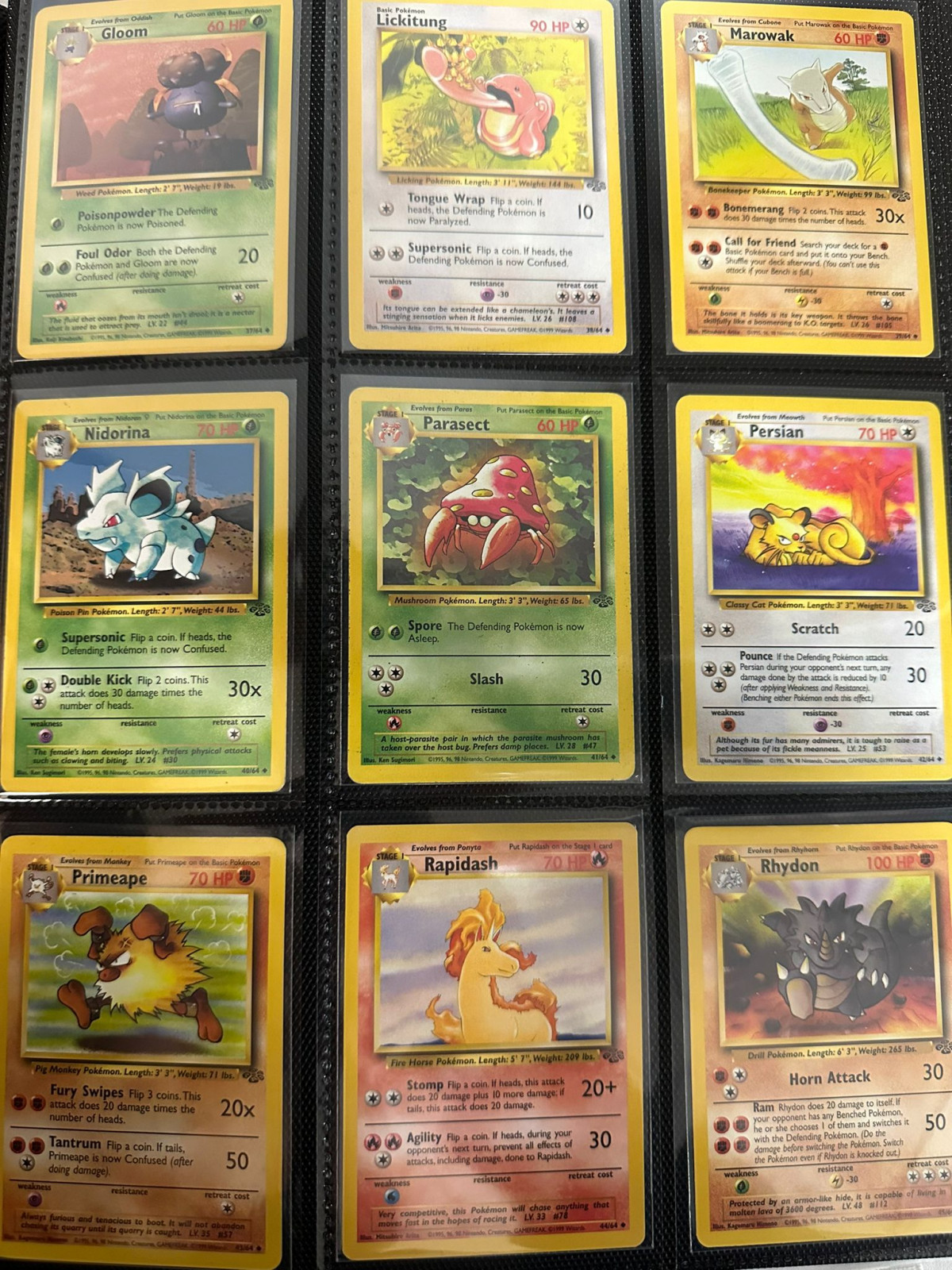 Pokémon Jungle Set Complete