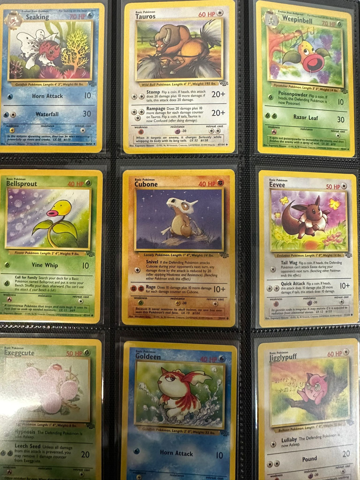 Pokémon Jungle Set Complete