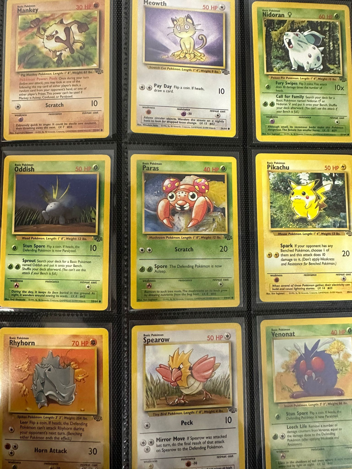 Pokémon Jungle Set Complete