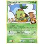 RR 085 - Turtwig [GL] Lv.20