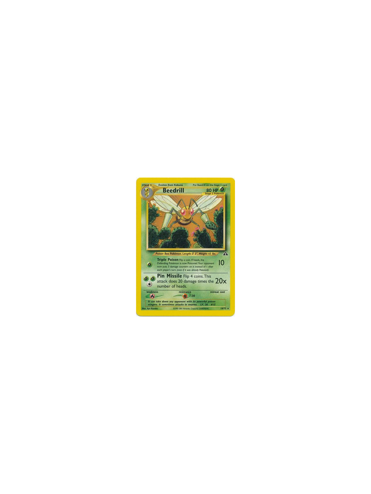 NDI 018 - Beedrill