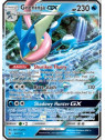 FLI 024 - Greninja GX