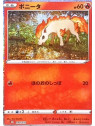 CLL 004 - Ponyta