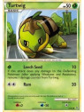 UL 067 - Turtwig