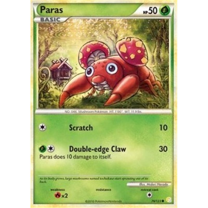 HS 076 - Paras