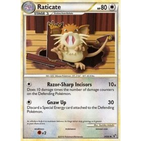 UD 034 - Raticate UD 034 - Raticate
