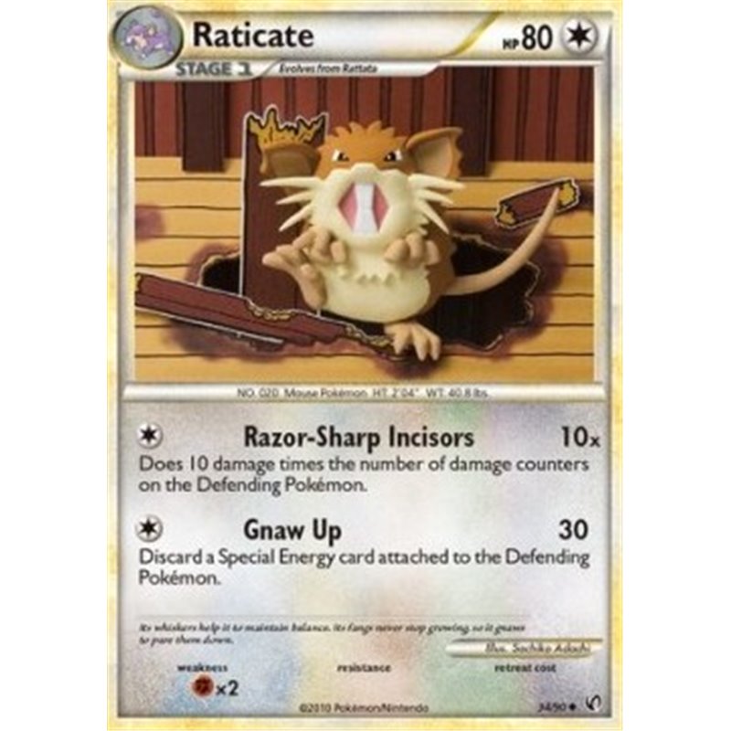 UD 034 - Raticate
