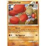 UD 051 - Hitmonchan